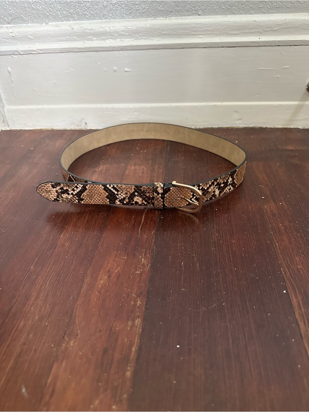 Halogen Snakeskin Printed Belt